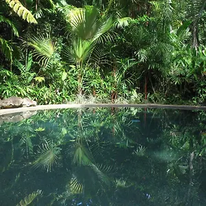 Rainforest Retreat Lodge Daintree